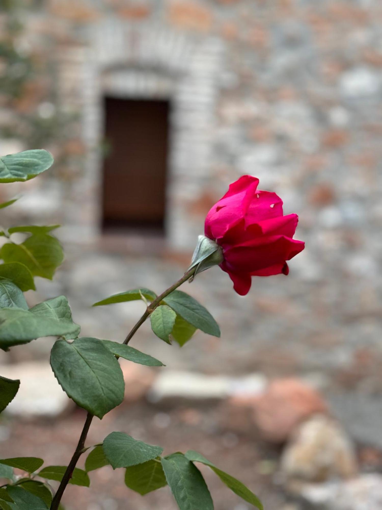Casa De La Serra มองต์บลังก์ ภายนอก รูปภาพ